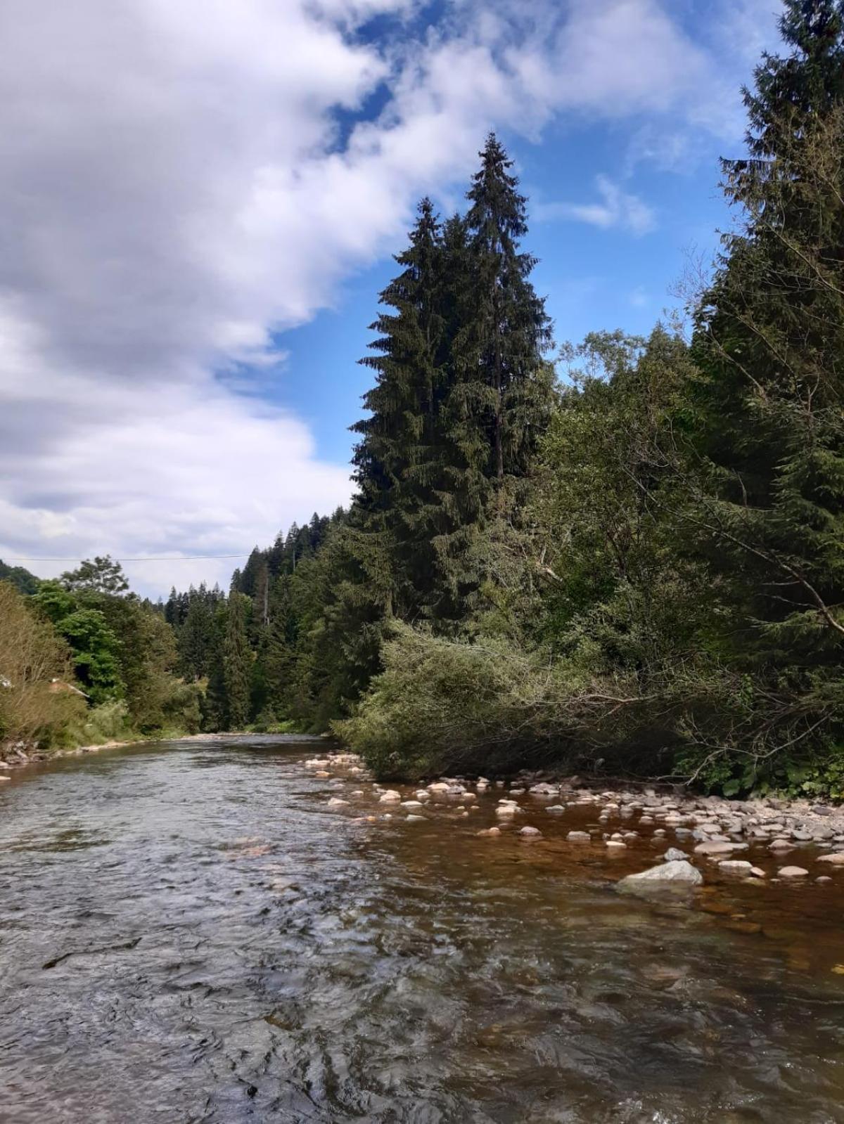 Casa De Vacanta Joldes Gîrda de Sus Exteriér fotografie